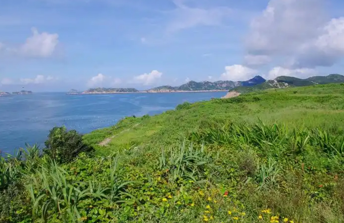 公公又说，我去给你们取点钱？

真的很烦这句话，你要给你就直接给。每次都说，我去