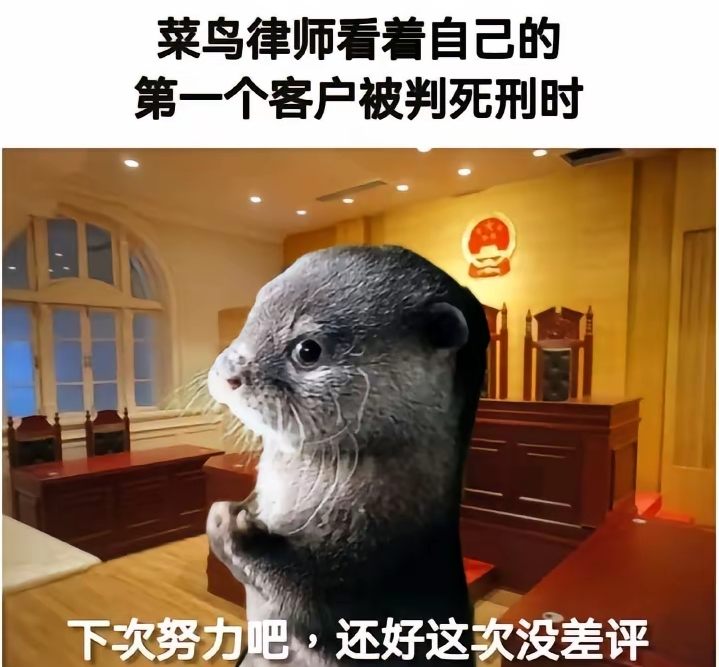下次努力吧，还好这次没差评