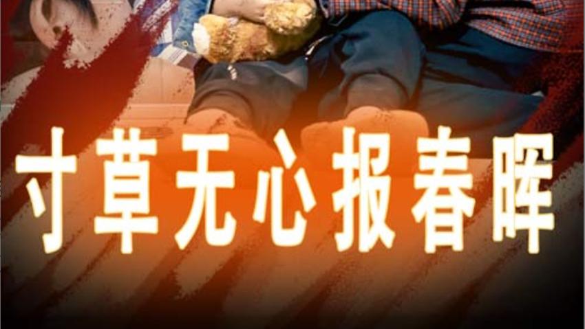 短剧在线观看《寸草无心报春晖&孝子慈孙》完整版全集（31集）