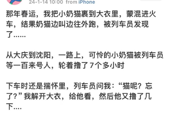 上车狸花下车多比 ​​​