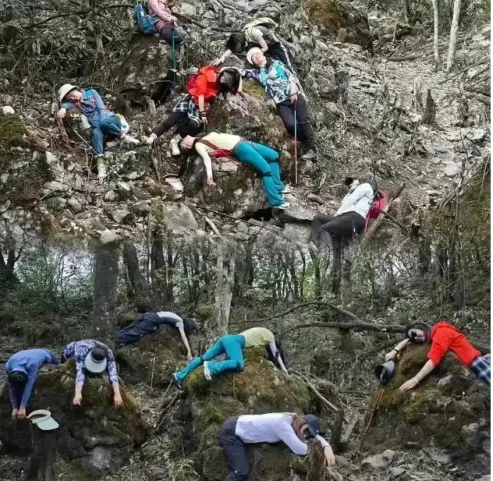 退休就不能干点正事吗？