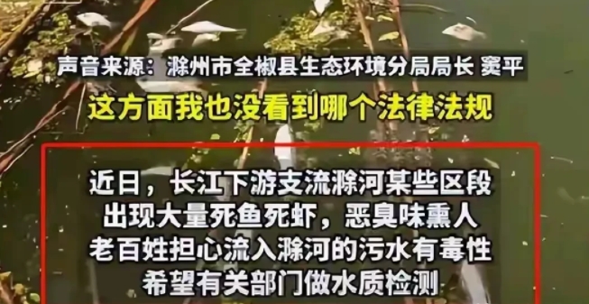 滁州市环保局长一鸣惊人！一句话就让自己火了！

滁州市滁河的水出了大问题，导致了