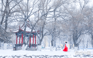 我是沈府嫡女，活得却不如奴才。首富儿子说要帮我，却将我仅剩钱财骗个精光......