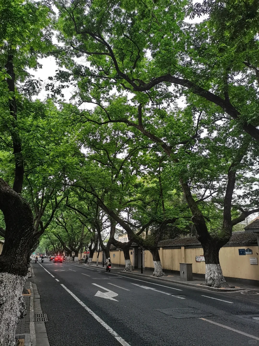 人生建议：j人不要仗着交情轻易和p人出去玩
如题，本人istj，属于是要把计划做