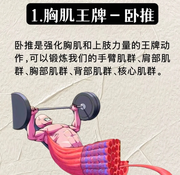 健身的几个黄金动作