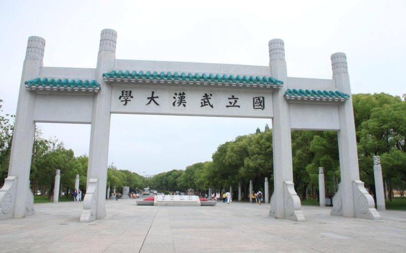 武汉大学算顶尖985吗？