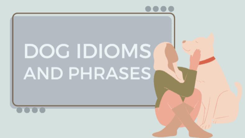 狗相关的英语谚语