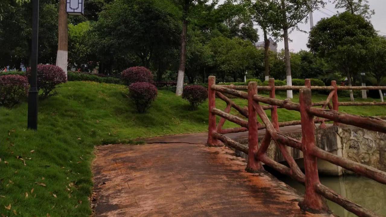 读许地山的《落花生》