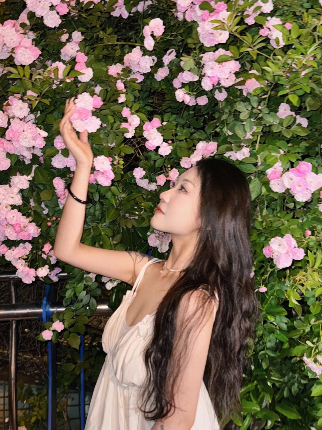 小小蔷薇 拿下