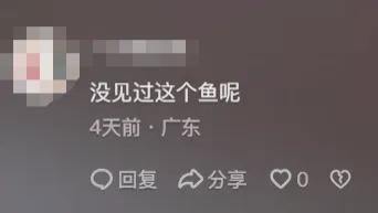 有婴儿那么大！广东男子捉到一条巨型笋壳鱼！网友：成精了！