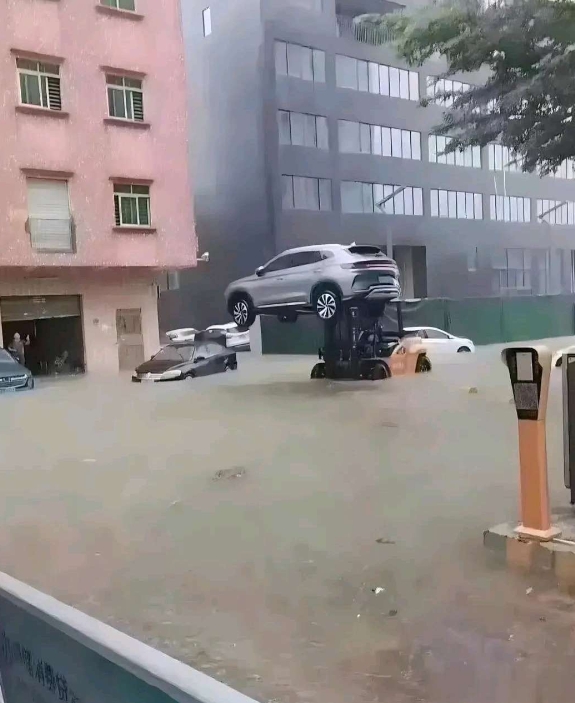 十来万的比亚迪是保住了，叉车40多万没了！
