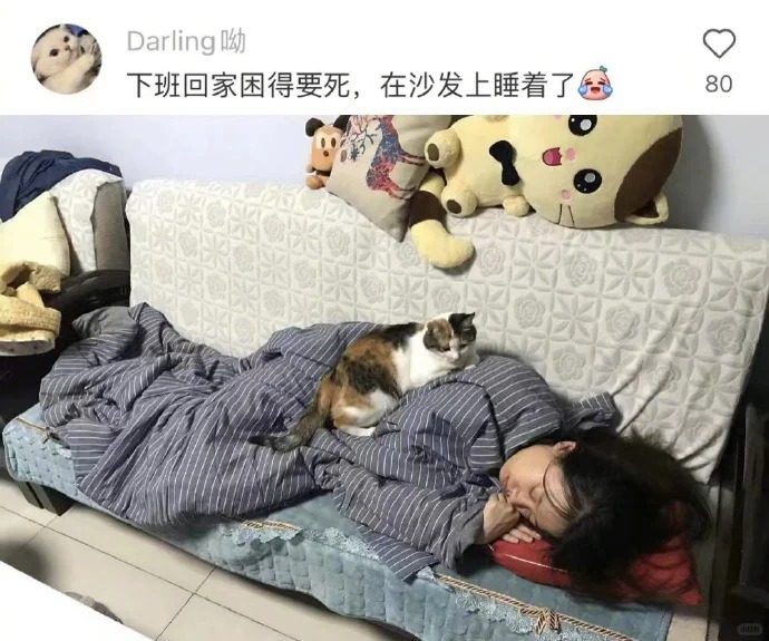 果然一个被窝里睡不出两种人 ​​
果然一个被窝里睡不出两种人 ​​
把你的睡觉搭