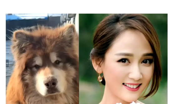 陈乔恩太猛了，霸气回怼指责她用繁体字的网友，管对方叫英文名大姐，说自己从小学的是