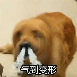 #跳楼自杀女生生前多次给霸凌者转账#未成年人保护法，是为了保障未成年人不受侵犯，