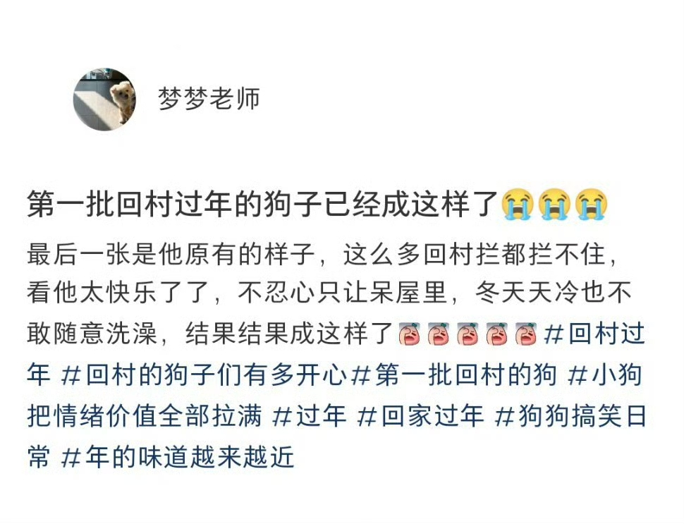 第一批回村过年的狗子已经成这样了