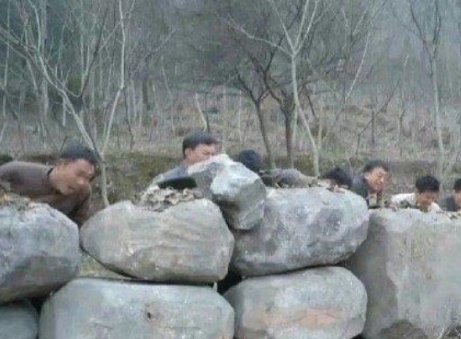 有些抗日神剧真的，导演这一言难尽啊