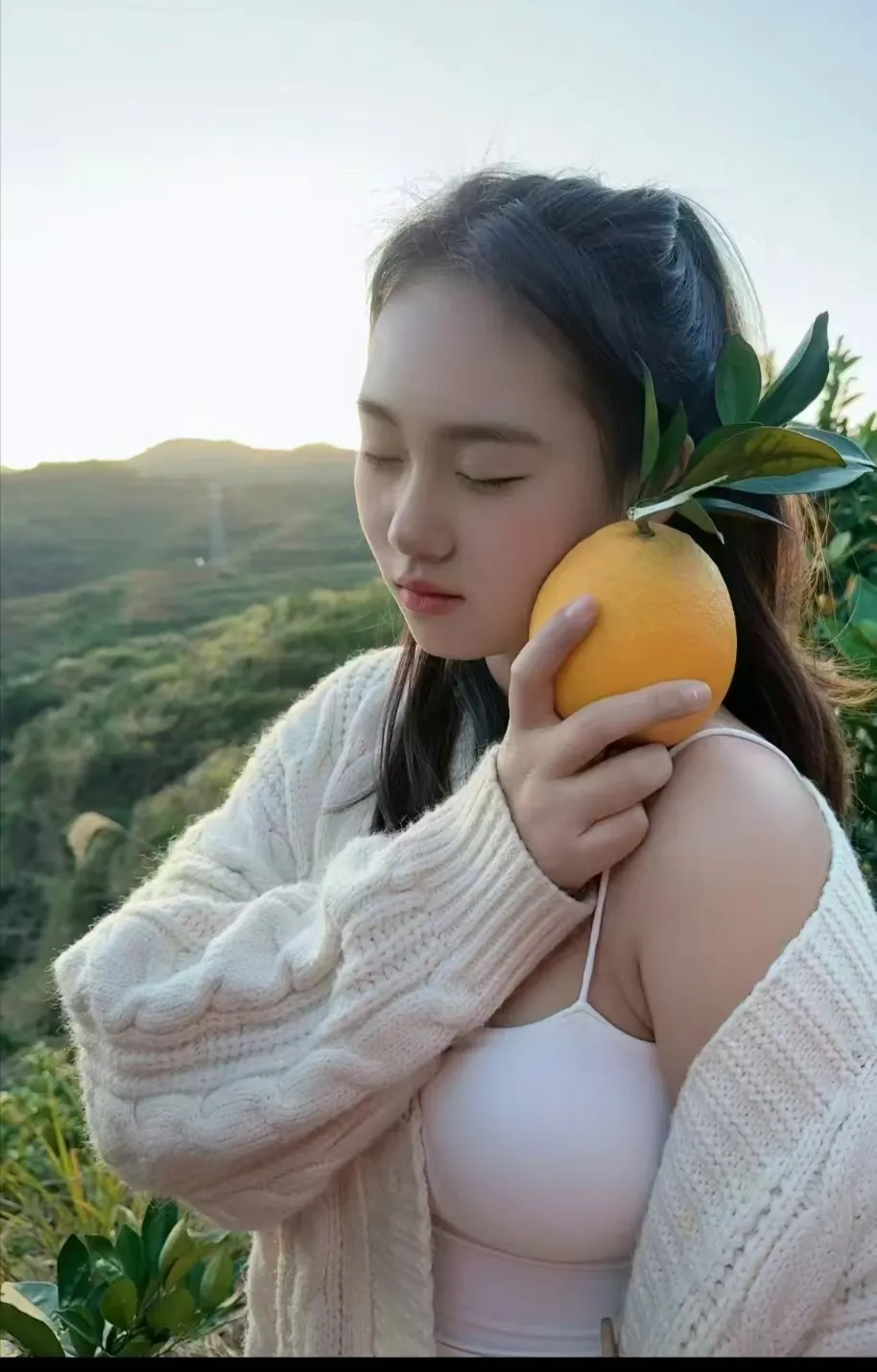 赣南脐橙上市了，卖橙子的小姑娘朋友圈发的图片，果然在这么绿意盎然的山上拍出来的照