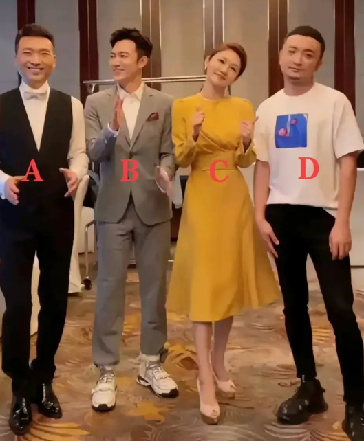 A：家喻户晓的央视新闻联播主持人康辉
B：未来康辉的接班人，央视新星张韬
C：号