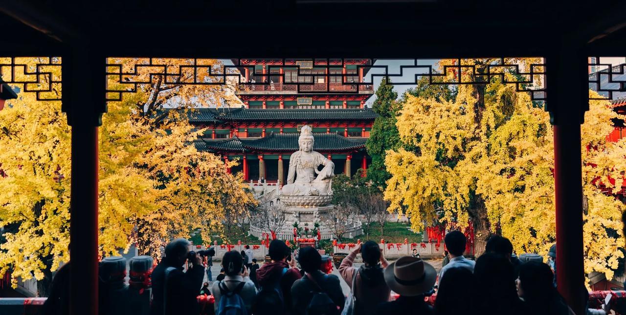 南京的秋景真美，人也是真的多。想着早起出来拍照应该会少点人，但是莫道君行早，更有