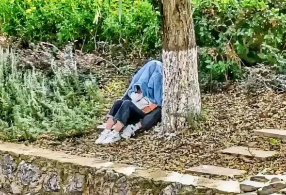 惊呆了！安徽合肥一女大学生坐在树下为男朋友解决问题！

在这个秋风送爽的季节里，