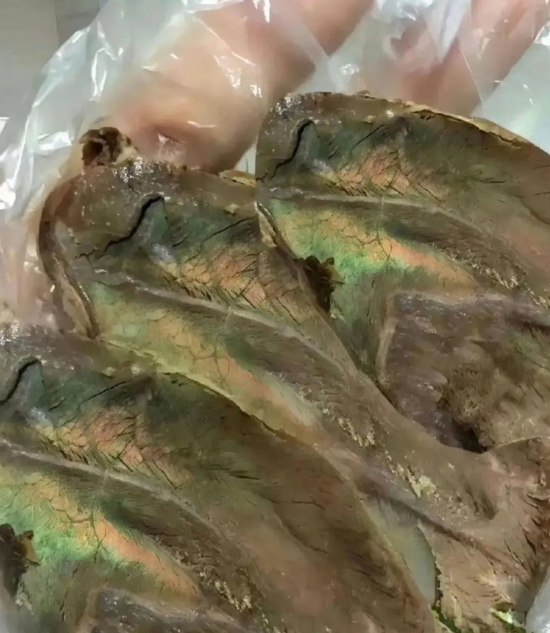 丈母娘说这是最好的牛肉，可是不敢吃！