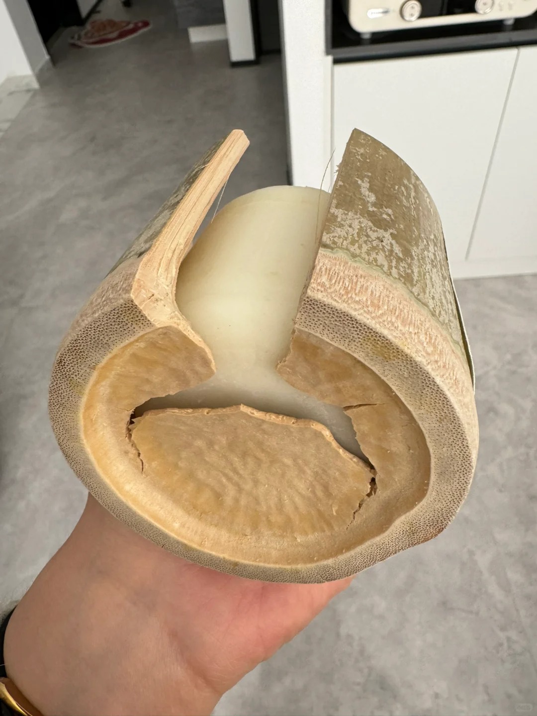 北方人对竹子的执念
收拾东西又看见这个，至今没有找到合适的容器，干燥的地方不适合