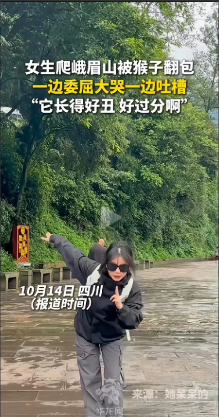 “它长得好丑 好过分啊”，

四川乐山，一女孩爬山被峨眉山时，被山上猴子骑身上翻
