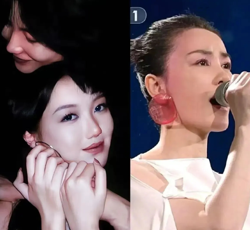 王菲虽然经历了几段婚姻，但她对女儿李嫣的关爱却一直是众人瞩目的焦点。据小姑子窦颖