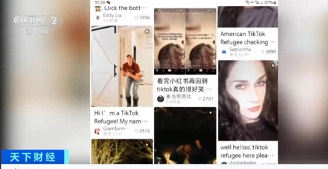 一觉醒来，美国的“美吹”们和移民中介的好日子仿佛瞬间崩塌。大量美国网友涌入中国的