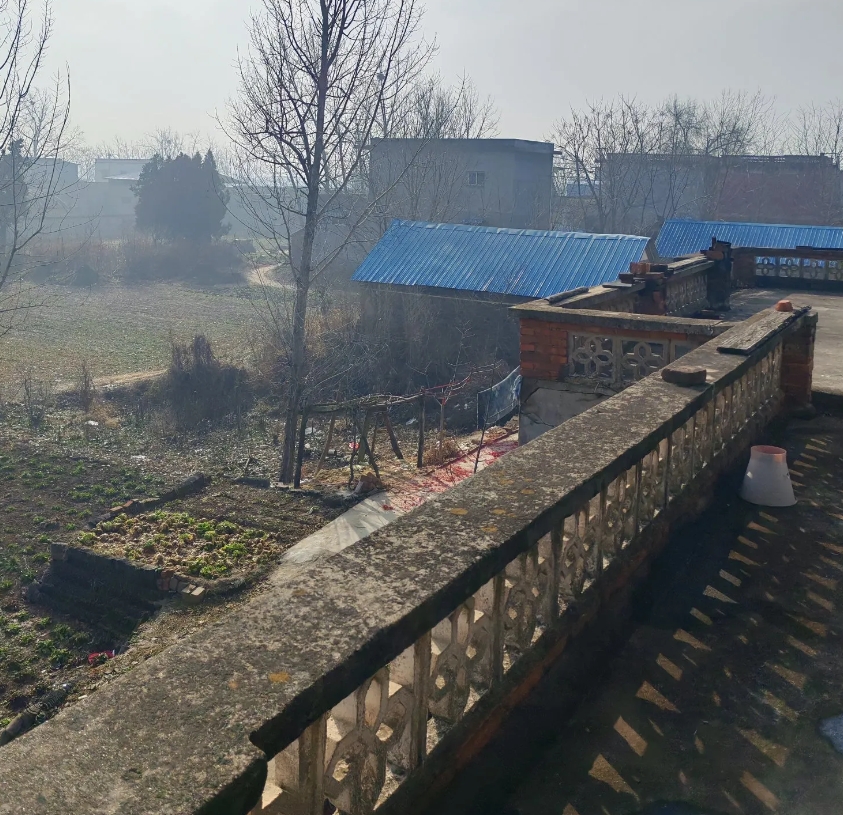 如今在农村，年轻人也都在为生活奔波忙碌。但凡年轻力壮的，要么奔赴远方大城市打工，