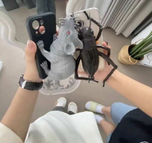 啊…我又刷到过。

直接把我给吓到了，什么蟑螂手机壳？真的绝对是一只超大的趴在手