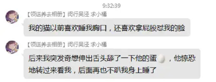 猫咪这辈子没这么崩溃过