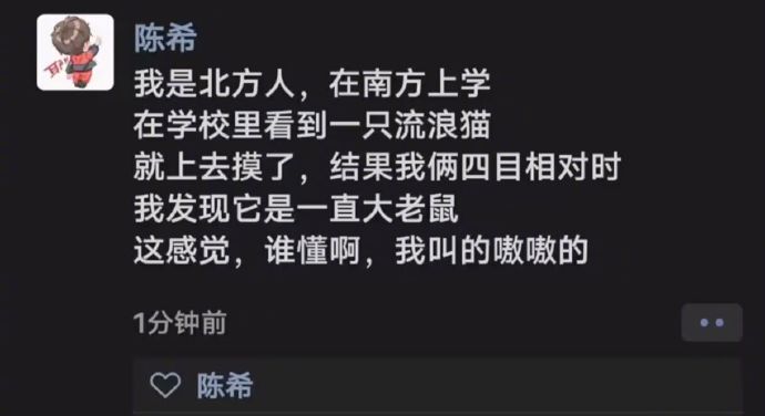 南方的老鼠可以大得像只猫