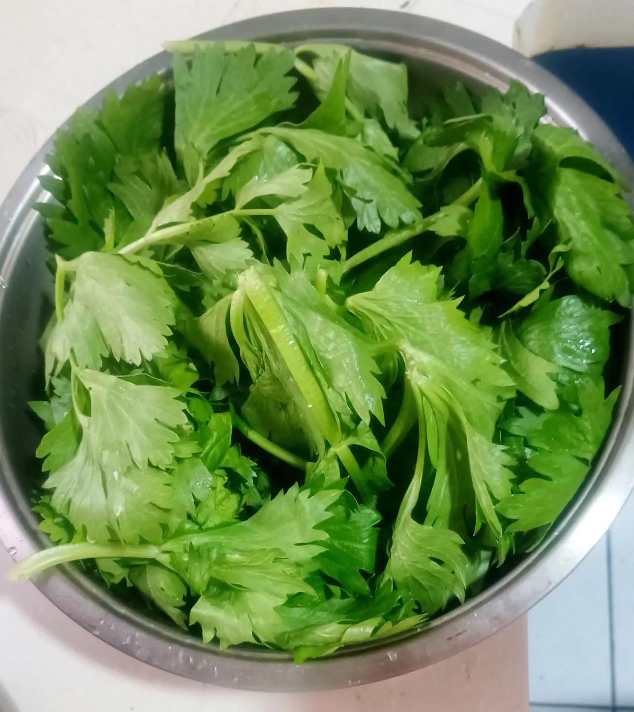 万能的友友们，请教大家一下，芹菜的茎，做了芹菜炒肉吃过了，这个芹菜叶子，扔了可惜