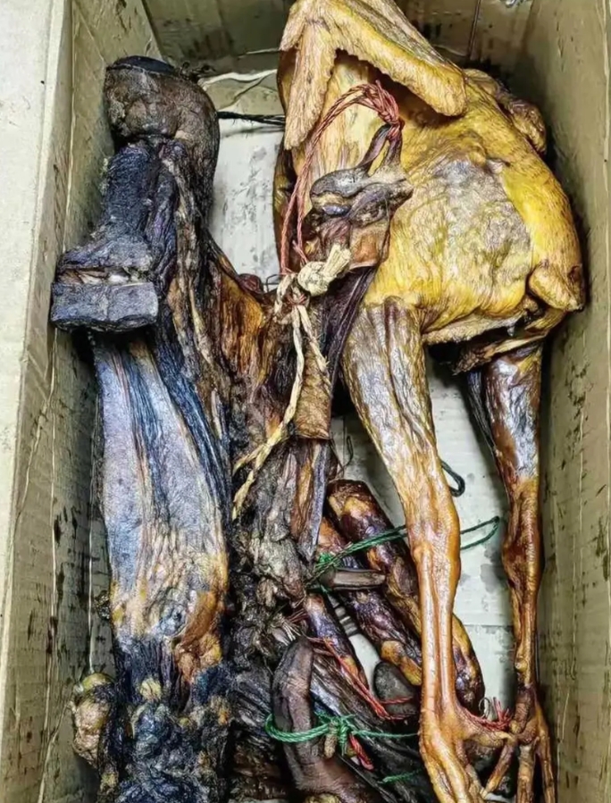朋友送我的…这是看不起谁呢？！哈哈哈哈 [大笑][大笑][大笑][大笑][大笑]