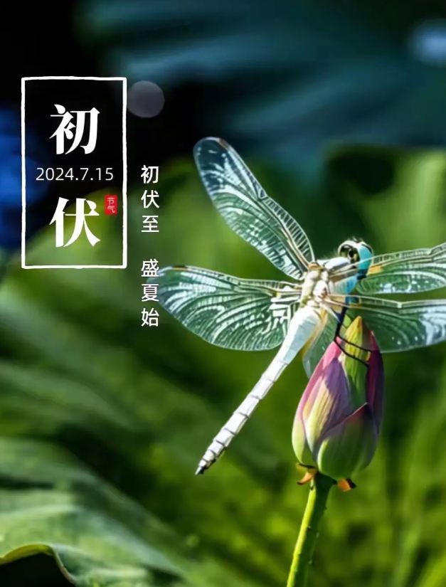 三伏天，做好这10件事，身体轻松多了！
每年的三伏天如约而至，我们的身体承受着不
