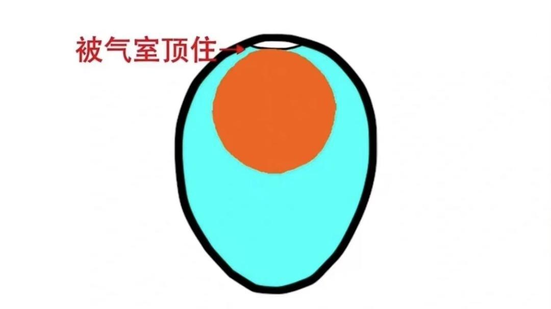 家居小妙招大揭秘！让你的生活更便捷！