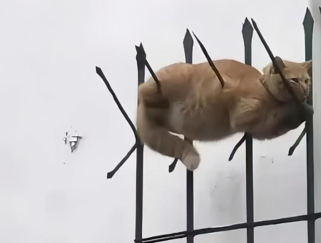 差点看错了！哈哈哈哈 [大笑][大笑][大笑][大笑][大笑]