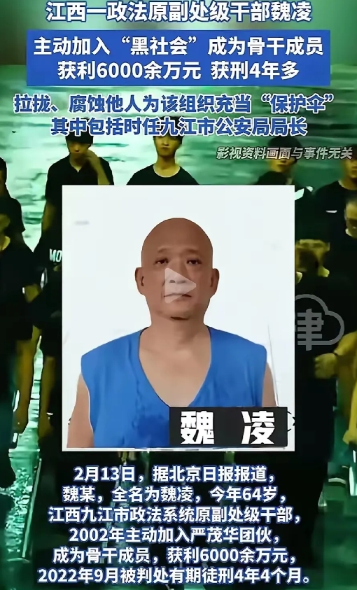 此类人危害堪称巨大！
 
江西九江政法系统的原副处级干部魏凌，在40岁左右时，竟
