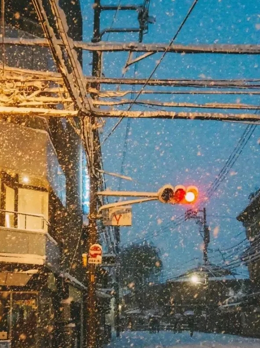 所谓南方是湿冷，其实就是因为不够冷，而且冬天下雨多，所以湿。如果温度将至-10℃