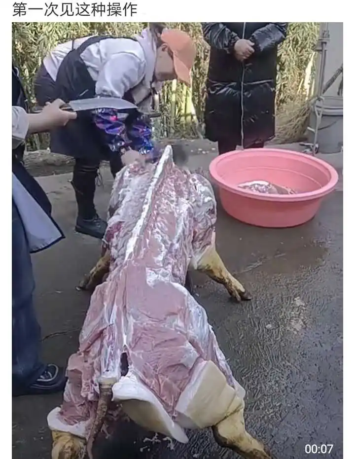 有的人是最邪恶的，动物单纯多了。
