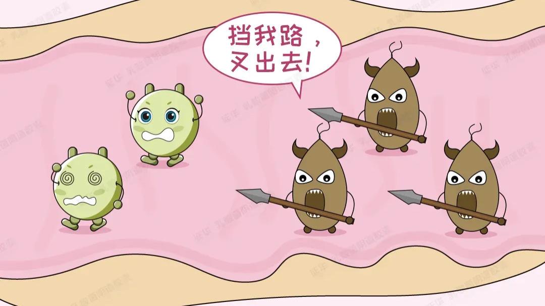 滴虫性阴道炎反复发作，到底是哪里出了问题？
