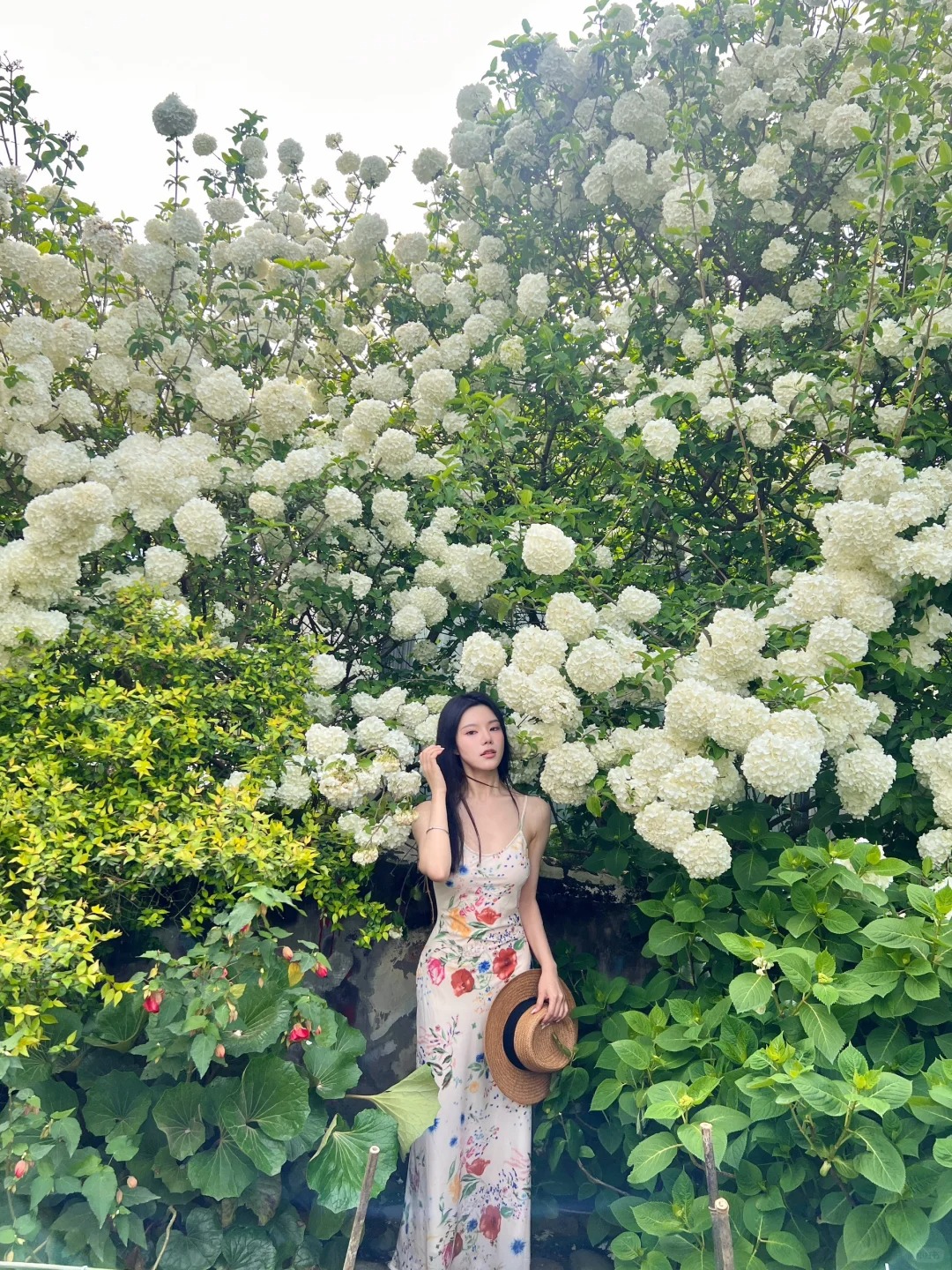 海蒂和噜噜的花园
真的好美人好多谁懂
大家错峰吧
图一这个位置一个人都没有，其他