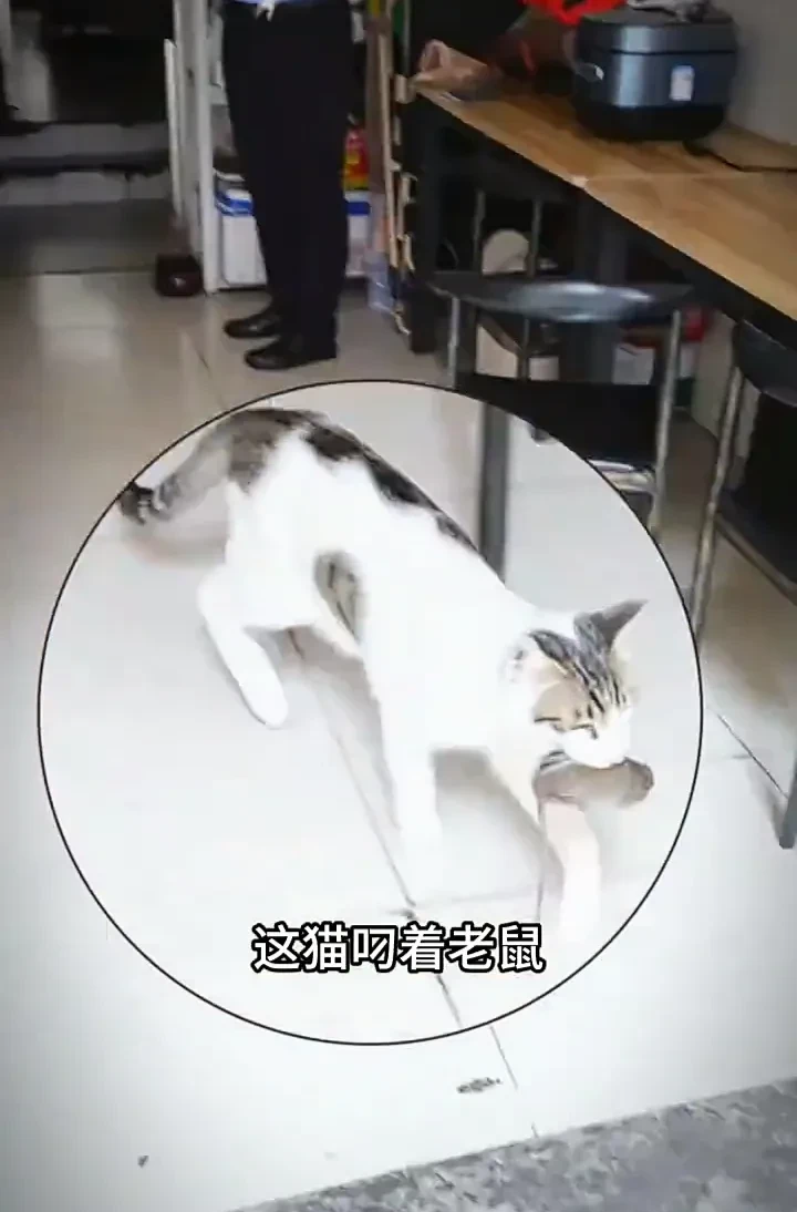 这种店谁敢去啊