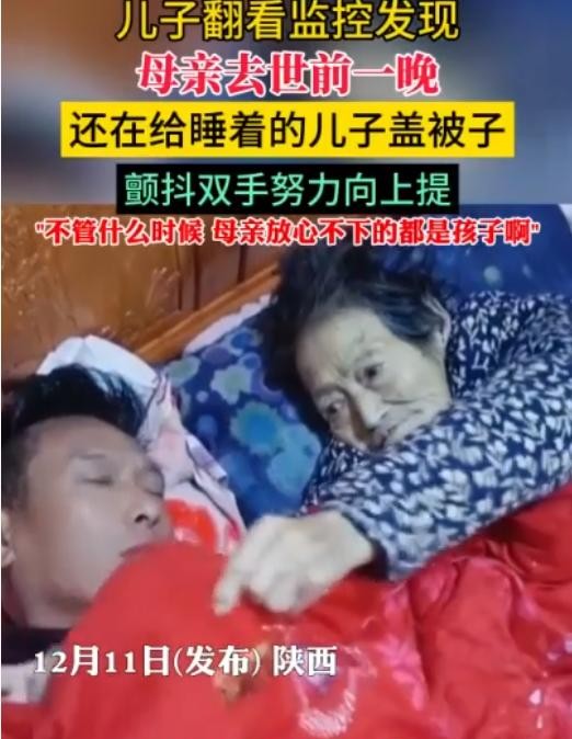 汪先生的经历让无数人动容，也引发了对亲情和孝道的深刻反思。母亲那无声的爱在他熟睡