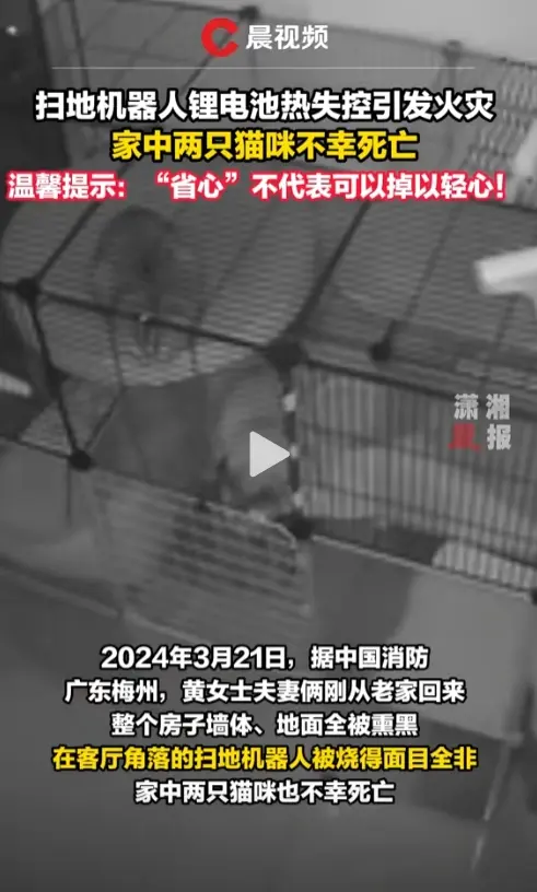 家里养小动物，又出远门的时候为什么不装个摄像头
