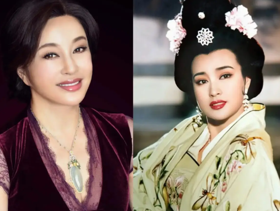 刘晓庆说，我原来有28套房子，其中27套房子都拍卖了。我也没有掉一滴泪。

刘晓