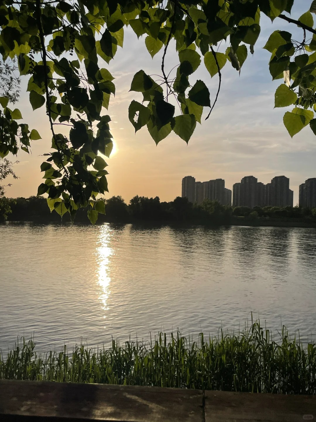 好爱逛公园