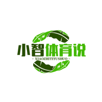 小智体育说
