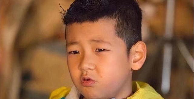 钟丽缇小女考拉和后爸再录“爸爸去哪儿”，低胸装出镜遗传好身材（钟丽缇和考拉参加的综艺节目）-第29张图片-九妖电影